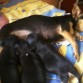 AQUI ESTA MI NIÑA CON SUS BEBES 